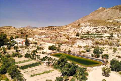 Landejendom i Lorca, Murcia, Lorca - € 399.950 | Ref: 2283-CH - foto 3